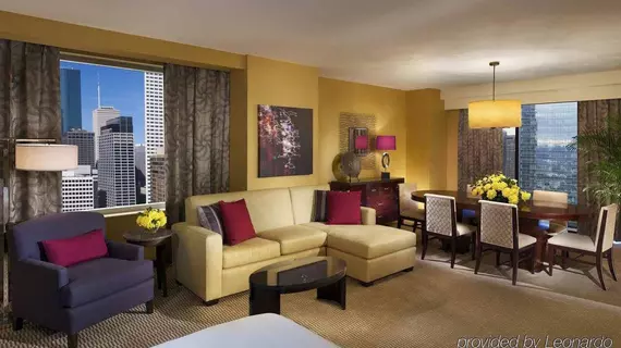 Hilton Americas- Houston | Teksas - Houston (ve civarı) - Houston - Houston Kongre Bölgesi