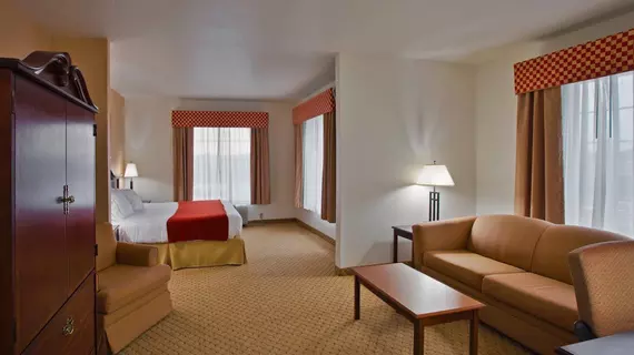 Holiday Inn Express Hotel & Suites Tampa Stadium-Airport | Florida - Tampa (ve civarı) - Tampa