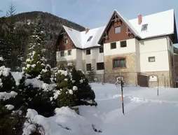 Villa Wellspacher | Lower Austria (Aşağı Avusturya) - Semmering