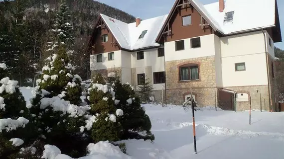 Villa Wellspacher | Lower Austria (Aşağı Avusturya) - Semmering