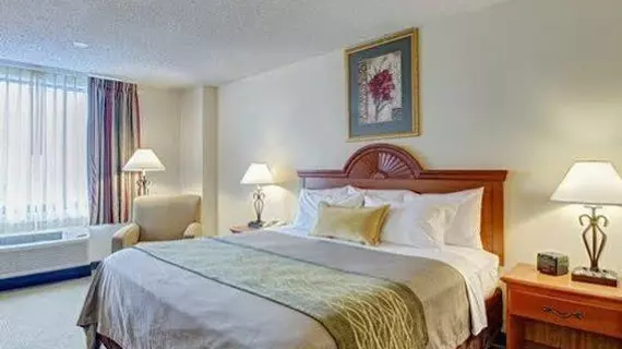 Comfort Inn Alexandria Landmark | Virginia - İskenderiye