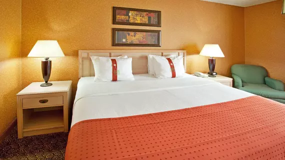 Holiday Inn Hotel & Suites Bolingbrook | İllinois - Bolingbrook