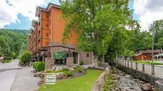 Baskins Creek Condos By Wyndham Vacation Rentals | Tennessee - Gatlinburg - Pigeon Forge (ve civarı) - Gatlinburg