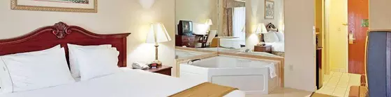 Holiday Inn Express And Suite Camden-120 | Güney Karolayna - Columbia (ve civarı) - Camden