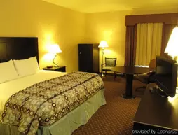 BEST WESTERN BOERNE INN SUITES | Teksas - San Antonio (ve civarı) - Boerne