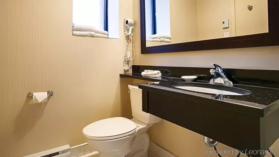 Best Western Plus Montreal Downtown- Hotel Europa | Quebec - Montreal (ve civarı) - Montreal - Golden Square Mile