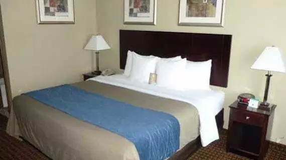 Comfort Inn Rochester | New York - Rochester (ve civarı) - Rochester