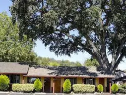 Melody Ranch Motel | Kaliforniya - San Luis Obispo (ve civarı) - Paso Robles