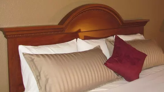 Dollinger's Inn & Suites | New York - Rochester (ve civarı) - Brockport