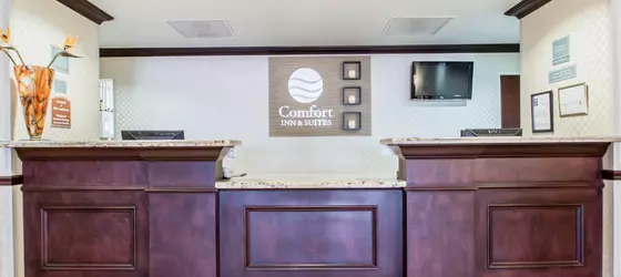 Comfort Inn & Suites Maingate South | Florida - Orlando (ve civarı) - Disney's Maingate West