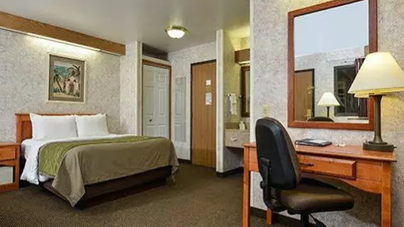 Comfort Inn Minot | Kuzey Dakota - Minot