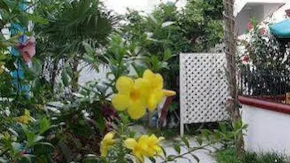 Alicia's Bed & Breakfast | Quintana Roo - Cozumel