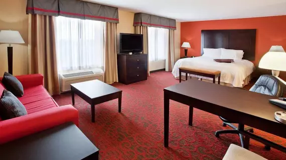 Hampton Inn & Suites Phenix City- Columbus Area | Alabama - Auburn - Opelika (ve civarı) - Phenix City