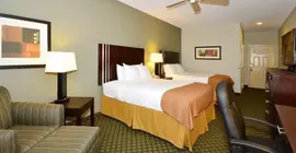 Best Western Plus Houma Inn | Louisiana - Houma (ve civarı) - Gray