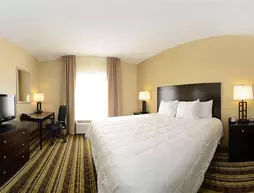 Comfort Inn & Suites Fort Campbell | Kentucky - Hopkinsville (ve civarı) - Oak Grove