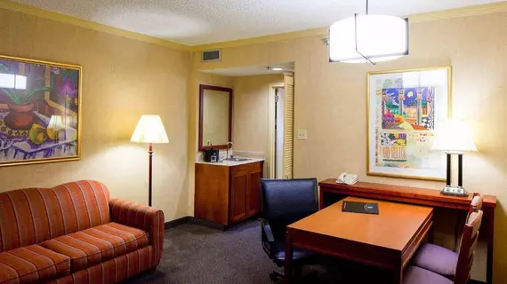 Embassy Suites San Antonio - International Airport | Teksas - San Antonio (ve civarı) - San Antonio - Kuzey San Antonio - SAT Havalimanı