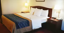 Comfort Inn Tacoma | Washington - Tacoma (ve civarı) - Tacoma