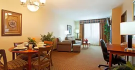 Holiday Inn Battle Creek | Michigan - Kalamazoo (ve civarı) - Battle Creek