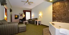 Best Western Plus Houma Inn | Louisiana - Houma (ve civarı) - Gray