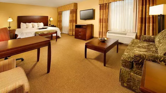 Hampton Inn and Suites San Antonio Airport | Teksas - San Antonio (ve civarı) - San Antonio - Kuzey San Antonio - SAT Havalimanı