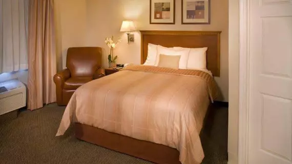 Candlewood Suites Houston The Woodlands | Teksas - Conroe (ve civarı) - The Woodlands