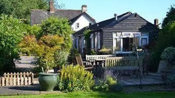 Wisteria Cottage B&B | Wiltshire (kontluk) - Salisbury - Alderbury