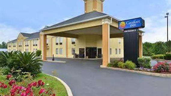 Comfort Inn | Alabama - Jackson (ve civarı) - Thomasville