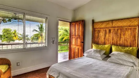 Iguana Lodge & Spa Beach Resort | Puntarenas (ili) - Puerto Jimenez