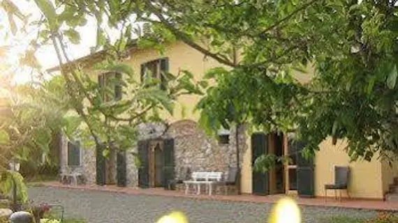 Agriturismo Il Gelso | Toskana - Pisa (vilayet) - Santa Luce