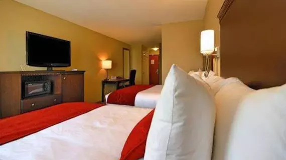 Comfort Suites Sarasota | Florida - Sarasota (ve civarı) - Sarasota - Bee Ridge