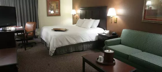 Hampton Inn Kansas City Blue Springs | Missouri - Kansas City (ve civarı) - Blue Springs