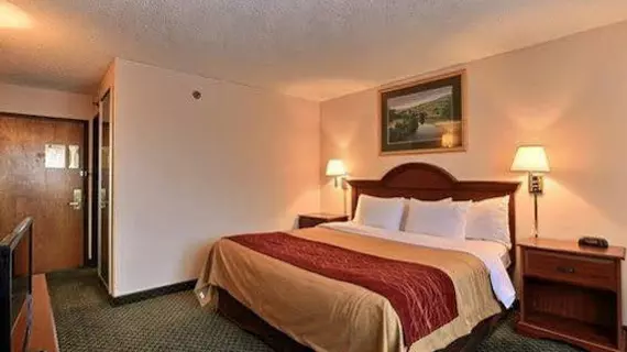 Comfort Inn Farmington Hills | Michigan - Detroit (ve civarı) - Farmington Hills