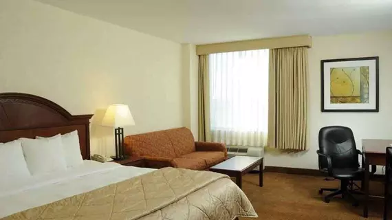 Comfort Inn Conference Center Bowie | Maryland - Annapolis (ve civarı) - Bowie