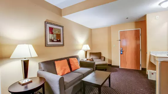 Comfort Suites At Rivergate Mall | Tennessee - Nashville-Davidson - Nashville (ve civarı) - Goodlettsville