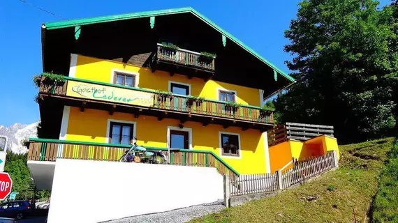 Gasthof Lederer Bike & Snow | Salzburg (eyalet) - Sankt Johann im Pongau - Muehlbach Am Hochkoenig