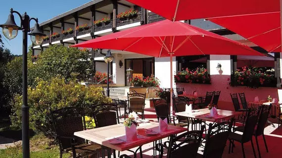 Hotel Ochsen | Baden-Wuerttemberg - Lenzkirch - Saig