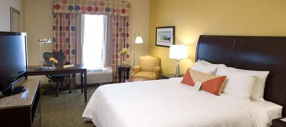 Hilton Garden Inn Pensacola Airport/Medical Center | Florida - Pensacola (ve civarı) - Pensacola