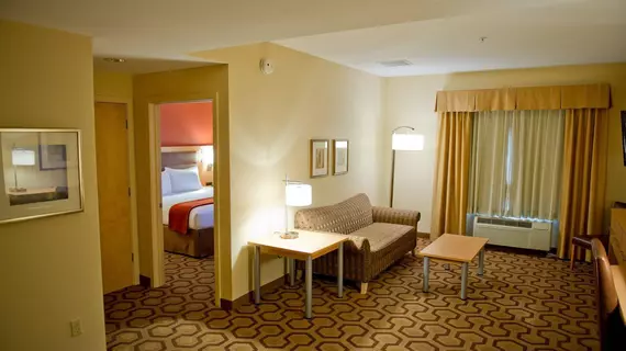 Holiday Inn Express Fremont - Milpitas Central | Kaliforniya - Fremont