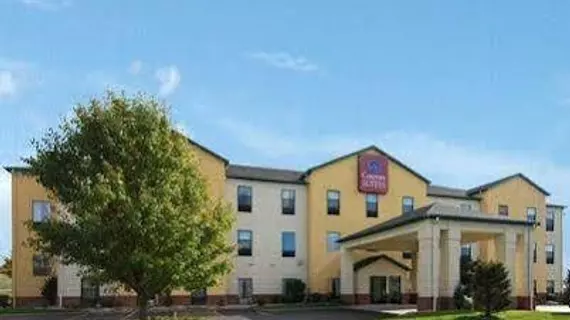 Comfort Suites Vincennes | Indiana - Vincennes (ve civarı) - Vincennes