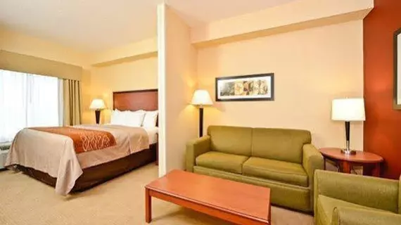 Comfort Inn Gateway to Glacier | Montana - Shelby (ve civarı) - Shelby