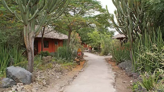 KIA Lodge | Arusha Bölgesi - Arusha