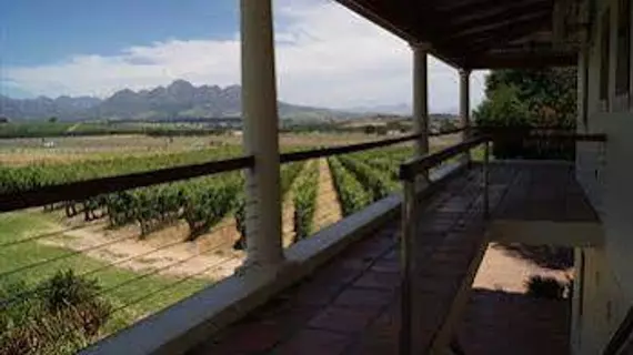 Lovane Boutique Wine Estate | Western Cape (il) - West Coast DC - Drakenstein - Cape Town (ve civarı) - Stellenbosch