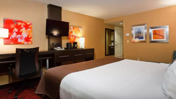 Holiday Inn Colorado Springs - Airport | Kolorado - Colorado Springs (ve civarı) - Colorado Springs