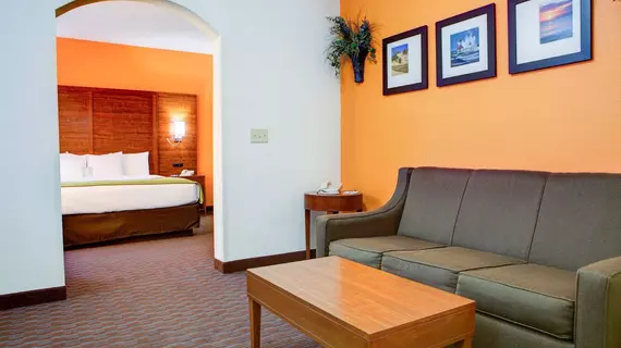 Comfort Suites Stevensville | Michigan - Benton Harbor (ve civarı) - Stevensville