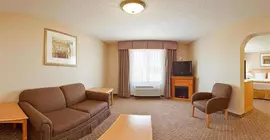 Holiday Inn Express Hotel & Suites Chesterfield - Selfridge Area | Michigan - Detroit (ve civarı) - Chesterfield