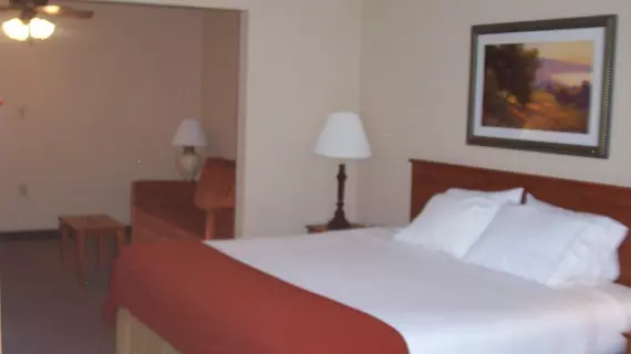 Holiday Inn Express Gas City | Indiana - Marion (ve civarı) - Gas City