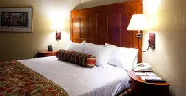 Embassy Suites San Antonio - International Airport | Teksas - San Antonio (ve civarı) - San Antonio - Kuzey San Antonio - SAT Havalimanı