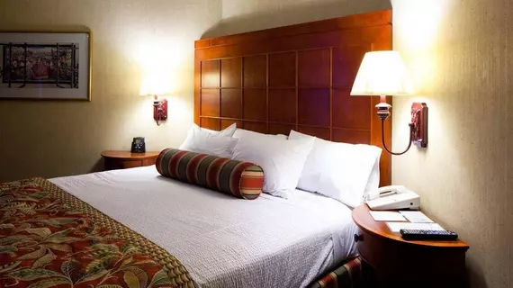 Embassy Suites San Antonio - International Airport | Teksas - San Antonio (ve civarı) - San Antonio - Kuzey San Antonio - SAT Havalimanı