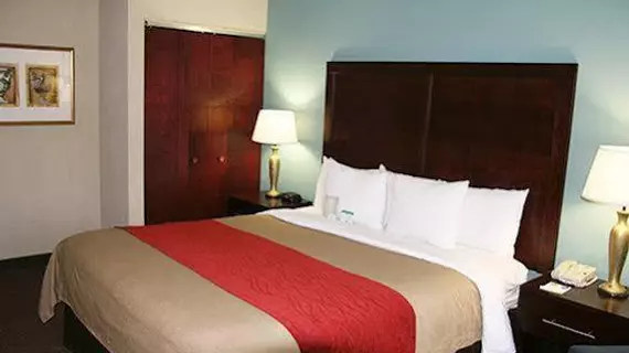 Comfort Inn and Suites Newark | Kaliforniya - Fremont - Newark