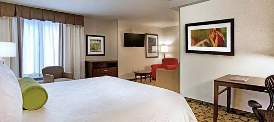 Hilton Garden Inn Portland Airport | Maine - Portland (ve civarı) - Portland